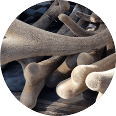 Osteo9.19 бошқа воситалардан нимаси билан фарқ қилади